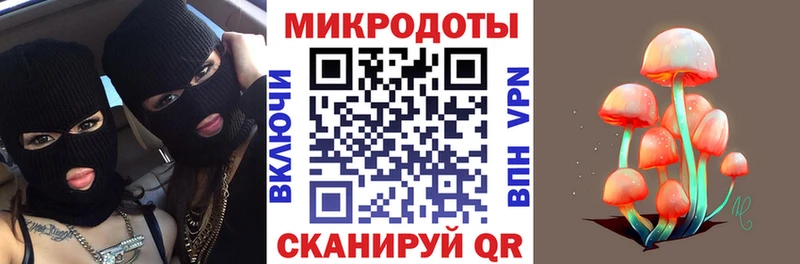 Псилоцибиновые грибы Cubensis  Купить  Жуков 