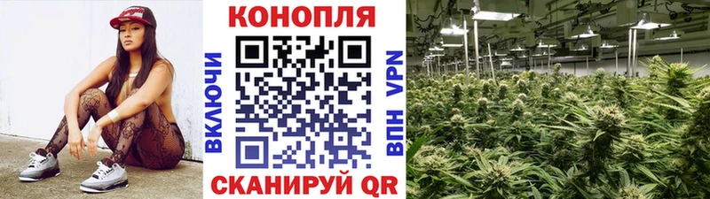 Купить закладки  Жуков  Бошки Шишки гибрид 